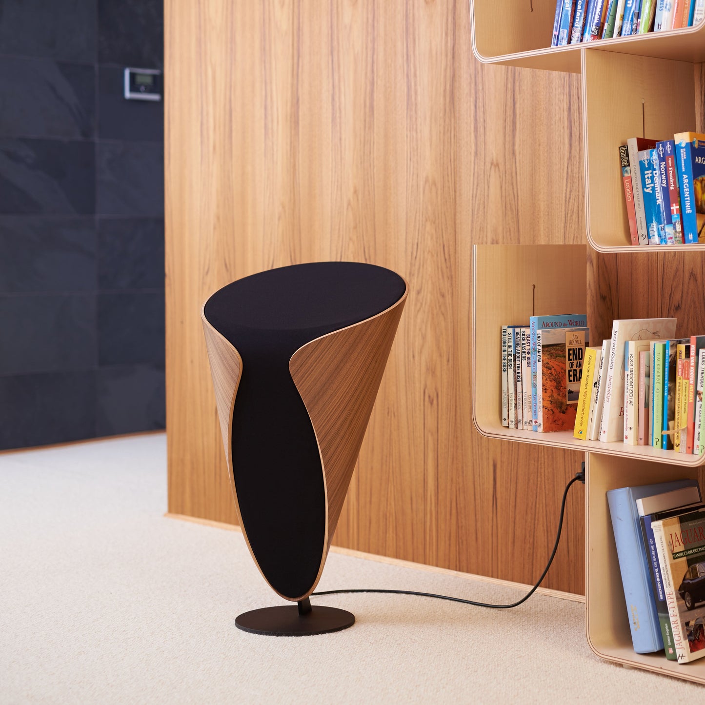 Meander All-in-One Lautsprecher - Preisgekröntes All-in-One Stereo-System